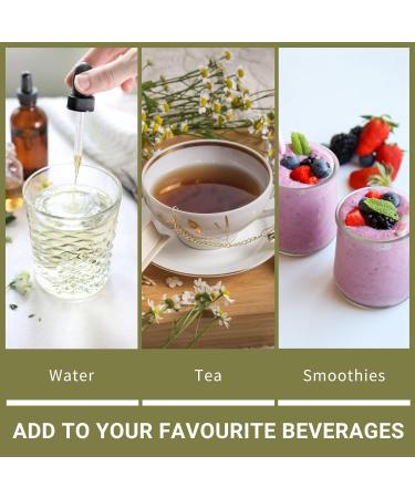 Milk Thistle Herbal Tincture Liquid Extract Hand Crafted Natural Remedies Herb Formula Drops Non-GMO Vegan Gluten Free No Fillers (Silybum marianum) (250mL 8.5oz) 250 ml (Pack of 1) - Buy Online on GoSupps.com