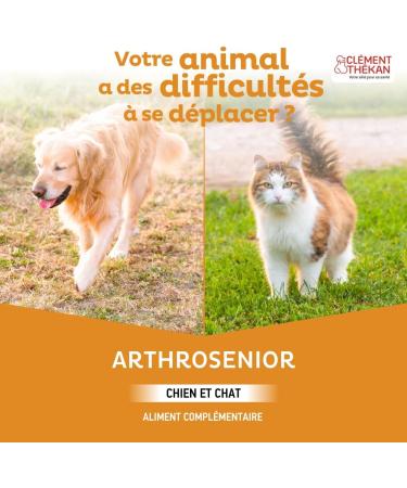 Cl ment Th kan Arthrosenior - Stimulates cartilage regeneration in dogs and cats - Helps with joint mobility - Relieves pain associated with osteoarthritis - 60 flavored scored tablets - Buy Online on GoSupps.com