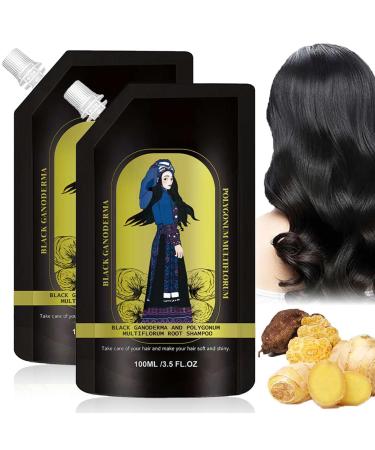 SHENGZE Identicalven Hair Loss ShampooGinger Plant Extract AntiHair Loss Hair ShampooAnti Hair Loss ShampooHair Growth Plant ShampooOil Control AntiDandruff Shampoo for Women Menfor All Hair Types