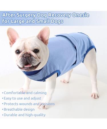 Convinite Recovery Suit for Dogs - Breathable Wound Protection for Male & Female Pets - Post-Op Castration Suit in Blue XS Size - Buy Online on GoSupps.com