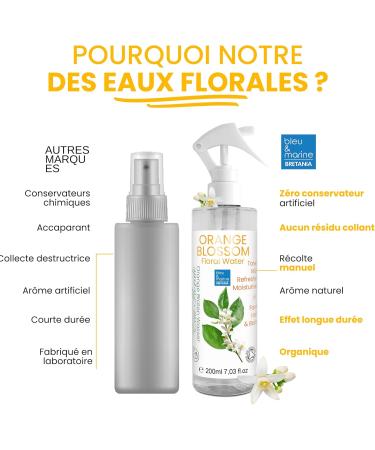 blue & navy Bretania - Organic Peppermint Floral Water 200ml | Toning & Decongestant | Ideal for Oily/Acne-Prone Skin | Sebum-Regulating and Tightens Pores Size: 200 ml - Buy Online on GoSupps.com