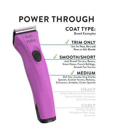 Wahl Creativa Cordless Pet Clipper with 5-in-1 Blade - Berry (#41876-0431) - Buy Online on GoSupps.com
