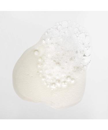 Mizani True Textures Coconut Oil Shampoo | Hydrating & Smoothing Formula | Sulfate & Paraben-Free | 16.9 Fl Oz - Buy Online on GoSupps.com