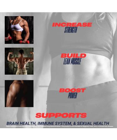 CREATINE Monohydrate Powder Supports Energy, Brain & Muscle Health, and Recovery for Men & Women - Gluten & GMO Free, Soy Free, Sport Certified Unflavored, 500 G, 100 Servings 1.1 Pound (Pack of 1) - Buy Online on GoSupps.com