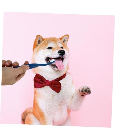 BESPORTBLE 3pcs Pet Double Toothbrush Puppy Teeth Brushes Cat Toothpaste Cat Toothbrushes Sharpened Nylon Blue 1 count (Pack of 1) - Buy Online on GoSupps.com