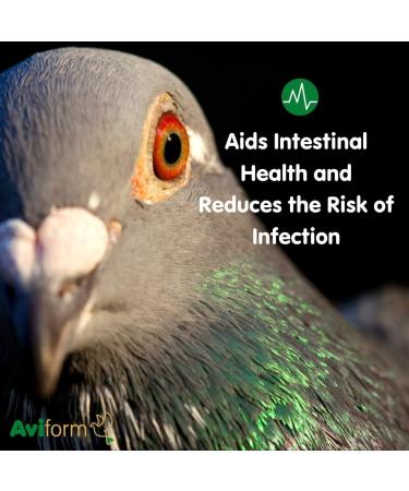 Aviform ULTIMATE Max NEW FORMULA Complete Supplement for Racing Pigeons 2500ml - Buy Online on GoSupps.com
