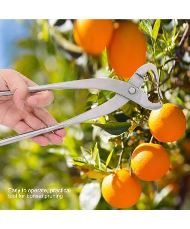 200mm Chrome Alloy Trunk Splitter & Bonsai Scissors - Premium Pruning Tool for Garden & Bonsai Trimming - Buy Online on GoSupps.com