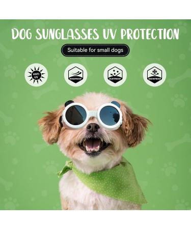 Shop Panda Style UV Glasses for Small Dogs | Eye Protection & Comfort | Windproof & Anti-Fitting Cat Glasses - Buy Online on GoSupps.com