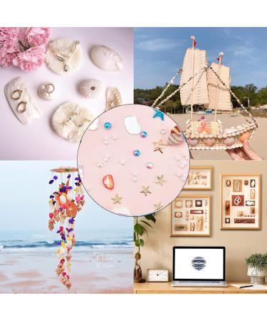 NICENEEDED Ocean Themed Nail Decorations Kit Irregular Abalone Shell Slices Conch Starfish Nail Art Charms Colorful Seashell Fragments Caviar Beads Nail Studs Supplies for Nail Design(Style 6) - Buy Online on GoSupps.com