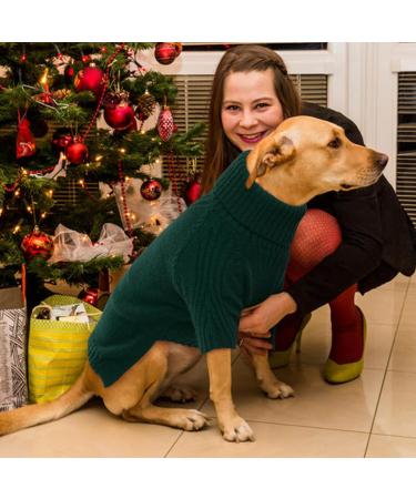Iecoii Warm Turtleneck Dog Sweater - Stylish Winter Clothing for Small Medium & Large Dogs (Chihuahua French Bulldog Labrador) - International Shipping Available - Buy Online on GoSupps.com