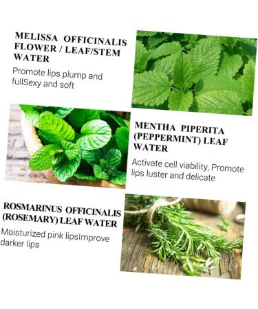 Didiseaon Lip Serum Lipgloss Lip Oil Lip Tint Clear Lip Gloss Essence Lip Care Oil Lip Moisturizer Oil Lip Care Supplies Lip Pomade Lip Plumping Oil Lip Balm Moisturizing Water - Buy Online on GoSupps.com