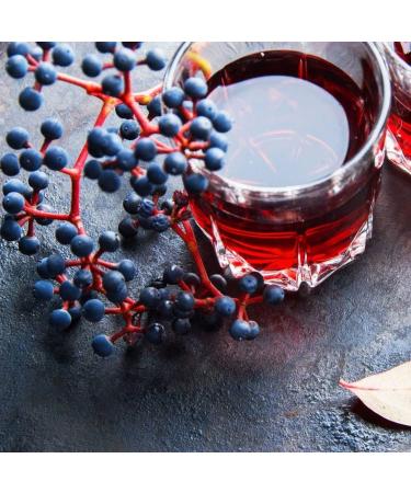 Unidex Dutch Exporters BV VIMTO Fruit drink pack of 24 24 x 330 ml - Buy Online on GoSupps.com