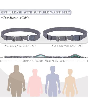 Buy Vivaglory Free-Handed Dog Leash | Padded Handles | Anti-Shock Bungee | Reflective Waist Running Leash for Medium & Large Dogs - Gray/Turquoise - Buy Online on GoSupps.com