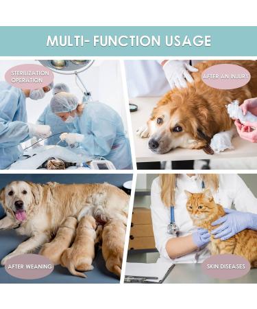 Recovery Suit for Dogs | Post-Op Wound Protection & Anti-Licking Suit | Blue Cactus Medium - Buy Online on GoSupps.com