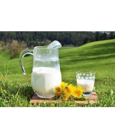 Zynewa Skimmed milk powder skimmed milk powder from Schwarzwaldhof dry milk top quality powder spray dried PE bucket 1600 g 16 kg - Buy Online on GoSupps.com