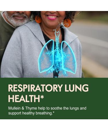 Goldenseal Root Extract Liquid Drop 6-in-1 Formula for Immune and Respiratory Lung Health Support Goldenseal Supplement with Echinacea Golden Seal Mullein Thyme. Fast Absorption. 2oz Original 2 Fl Oz (Pack of 1) - Buy Online on GoSupps.com