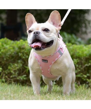 Doramio Small Dog Harness with Leash - Reflective Breathable Anti-Train Safety for Small Dogs & Cats - Pink (Size L) - Buy Online on GoSupps.com