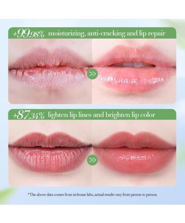  Nurvidis 3 Styles Lip Balm Moisturizing Lip Balm Nourishing Lip Balm Polishing Lip Balm Lip Balm For Men And Women Moisturize Dry Lips 3 Pcs - Buy Online on GoSupps.com