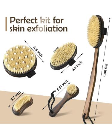 5 Pcs Dry Brushing Body Brush Set - Exfoliating Massager with Soft and Stiff Bristles for Cellulite, Feet, and Back - Long Handle Face Scrubber for Shower Bath - Buy Online on GoSupps.com