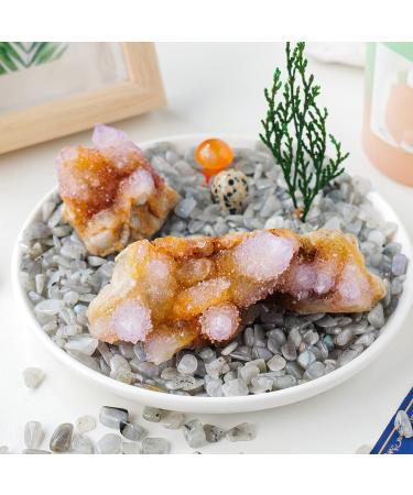 Natural Crystal Rough Natural Raw Cactus Amethyst Cluster Irregular Voilet Cluster Amethyst Specimens (Color : Cactus Cluster Size : 50-70g) 50-70g Cactus Cluster - Buy Online on GoSupps.com