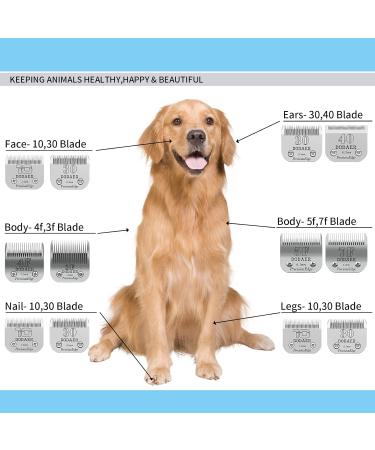 High-Quality Ceramic Blades for Dog Hair Cutters - Compatible with Moser Heiniger Andis Easter A5 & Wahl 5f (2 Sets 6.3mm Cut Length) - Buy Online on GoSupps.com