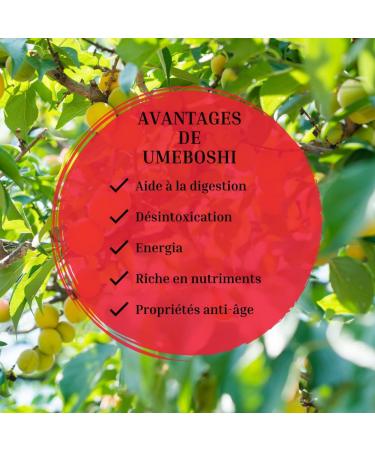Umeboshi Japanese Honig-eingelegte Umeboshi Gross. Nanko Ume Pflaumen eingelegte Pflaumen Japan hergestellt in Japan 14.1 U - Buy Online on GoSupps.com