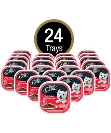 CESAR Adult Wet Dog Food Classic Loaf in Sauce Entr es - Beef 100g Tray (24 Pack) Beef 100 g (Pack of 24) - Buy Online on GoSupps.com