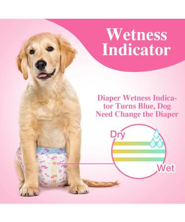 Dono Disposable Dog Diapers for Females - Super Absorbent & Leak-Proof | 48 Count | Perfect for Heat Incontinence & Irregular Traces | XXS to L Sizes - Buy Online on GoSupps.com