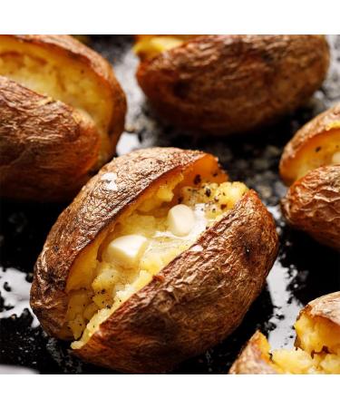 Ground Black Pepper | Restaurant Table Grind | 1 Pound Canister |ervice - Buy Online on GoSupps.com