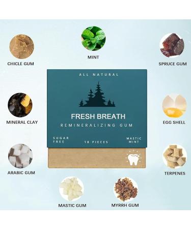 Pureveda Remineralizing Gum Organic Mastic Mint Pureveda Remineralizing Chewing Gum Underbrush Gum Underbrush Remineralizing Chewing Gum Pureveda Remineralizing Gum (Red 18Pieces) Red 18Pieces - Buy Online on GoSupps.com