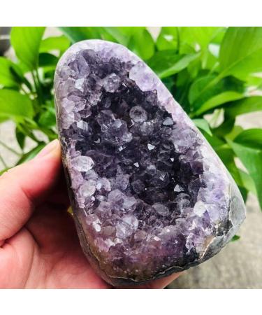 200g-2000g Natural Amethyst Geode Quartz Cluster Crystal Specimen Stone 1pc Suitable for Home Room Decoration FUZEGRDLI (Size : 470g-600g 1pc) - Buy Online on GoSupps.com