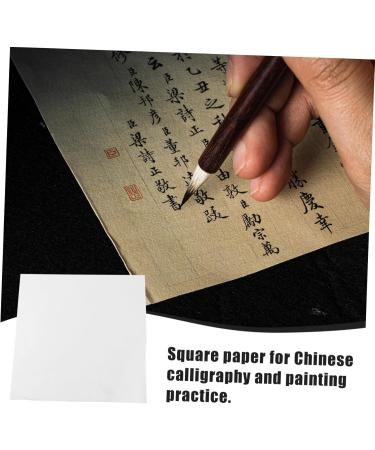NUOBESTY Chinese Painting Practice Paper 2 Sets 30pcs Rice Paper Chinese Calligraphy Paper Traditional Chinese Painting Pulp As Shown 33.00X33.00X0.10CM - Buy Online on GoSupps.com