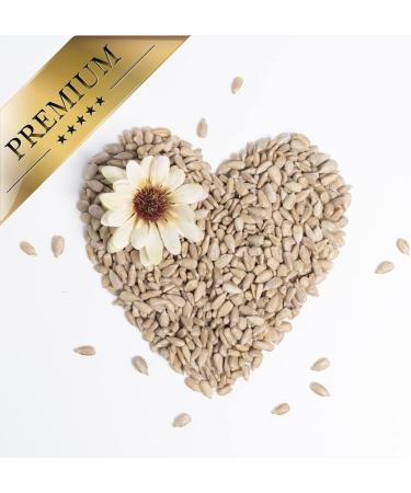 Lyra PET 10 kg Sunflower Seeds | Premium Wild Bird Feed | Year-Round Nutrition | Ideal for Young Birds | Shell-Free Energy Source | Summer & Winter Feed - Buy Online on GoSupps.com