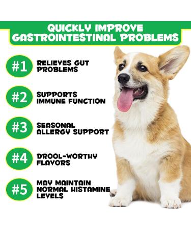 Probiotics for Dogs Pre & Probiotic Digestive Treats for Dogs Support Gut Health Digestive and Immunity Boost Heatlth & Energy for All Ages and Breeds 30 Chews Duck Flavor - Buy Online on GoSupps.com