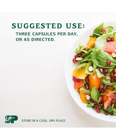 Standard Process ProSynbiotic - Whole Food Bowel & Immune Support 90 Capsules - Buy Online on GoSupps.com