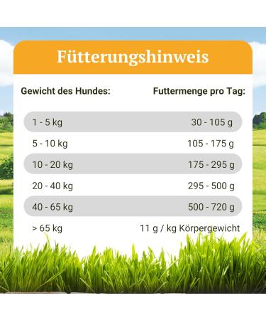 Bellfor Wiesen-Schmaus Cold-Pressed Dry Food for Dogs Grain-Free with Fresh Chicken 71% Rich in Omega-3 Vitamins and Prebiotics 10 kg - Buy Online on GoSupps.com