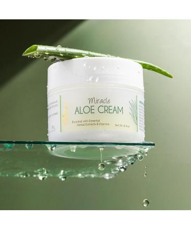 Deluvia Miracle Aloe Cream | Face & Body Moisturizer with Vitamin E & Organic Aloe Vera | Hydrating, Soothing for Dry Skin | Psoriasis, Eczema - 2 oz Compact Travel Size Unscented 2 Ounce (Pack of 1) - Buy Online on GoSupps.com