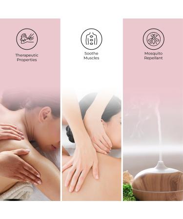 Eucalyptus Essential Oil | 100% USDA Organic | Therapeutic Grade for Massage Diffuser & Henna - 0.16 Fl Oz - Buy Online on GoSupps.com