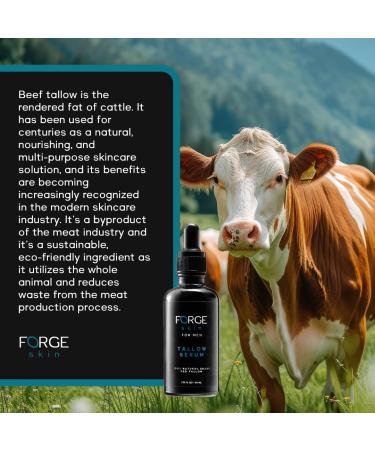 Forge Men's Anti-Wrinkle Night Serum - 50ML | Natural Ingredients Beef Tallow Vitamin C | Anti-Aging Deep Hydration Collagen Boost for All Skin Types - Buy Online on GoSupps.com