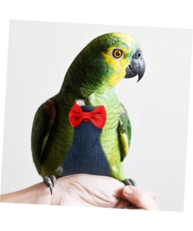 minkissy flying bird diapers cockatiel diaper cockatiel nappy bird clothes DiapeR macaw diaper parrot nappy conure diaper pet diapers parakeet diaper small conical protector cotton 14x7cm As Shown 4 - Buy Online on GoSupps.com