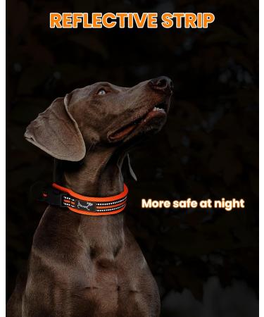 PETTOM Adjustable Nylon Dog Collar - Breathable Reflective Design for Dogs (Orange L) | Durable & Comfortable Pet Accessories - Buy Online on GoSupps.com