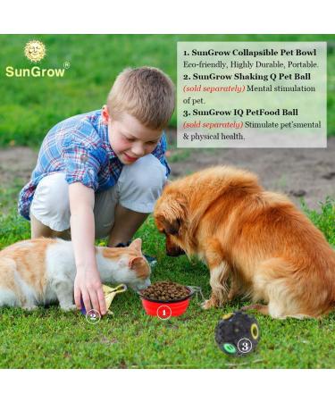 SunGrow Collapsible Treats & Water Bowls for Ferrets, Finches, Parakeets, and Baby Chickens - Portable Pet Travel Dish and Feeder - Buy Online on GoSupps.com