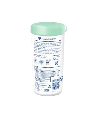 Wet Ones Sensitive Skin Hand and Face Wipes Canister 40 Count - Pack of 6 | Gentle Cleansing Wipes for Hands and Face - Buy Online on GoSupps.com