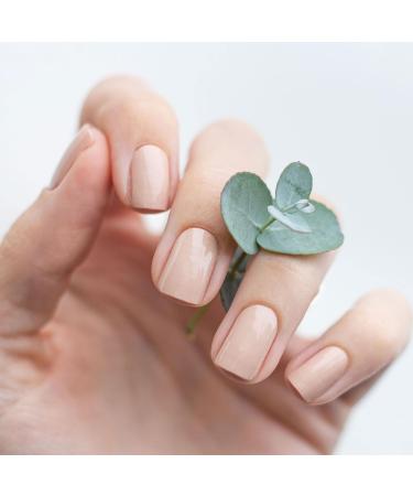 Avoa Beauty Skinny Dipping Nail Film - Beige Nude Monochrome Design | 20 Long-Lasting Self-Adhesive Nail Wraps for Flawless Manicure - Buy Online on GoSupps.com