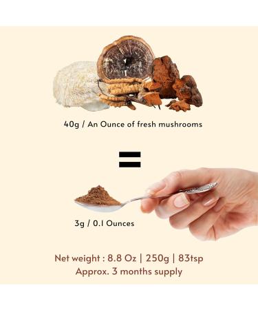 Feenlo - Organic Non-GMO 4 in 1 Mushrooms Blend. Reishi Cordyceps Lion's mane Chaga ground mushroom powder in a glass jar | 250g (8.8 Oz) | Best before Jul 19 2027 - Buy Online on GoSupps.com