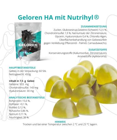 Natural Horse Joint Additives with Hyaluronic Acid - Apple Flavor Joint Cubes 450g | Optimize Joint Health for Horses - Buy Online on GoSupps.com