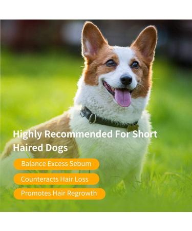 Nobleza Puppy Shampoo - Mild Almond & Honey - Itch Relief for Short-Haired Dogs (250ml) | Ideal for French Bulldogs & Pugs - Buy Online on GoSupps.com