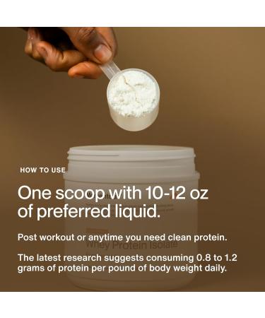 Momentous Essential Grass-Fed Whey Protein Powder - 20 g Whey Isolate Protein - NSF Certified for Sport - Gluten-Free - 12 Servings for Essential Everyday Use - Spiced Chai - Package May Vary - Buy Online on GoSupps.com