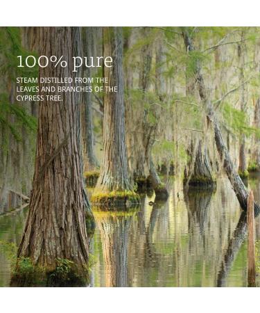 Now Foods Essential Oils Cypress 1 fl oz - Pure Natural Aromatherapy - Buy Online on GoSupps.com