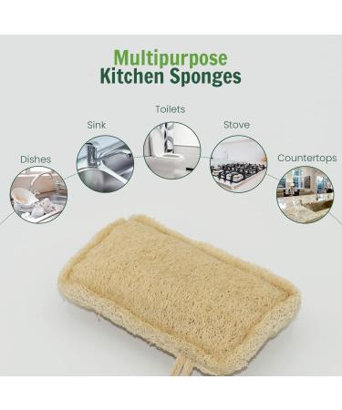 Organic Luffa Kitchen Sponge | Biodegradable Eco-Friendly & Natural Peeling - Buy Online on GoSupps.com